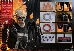 HOT TOYS 1/6 TMS005 Agents Of SHIELD Ghost Rider Action Figure NEW SEALED