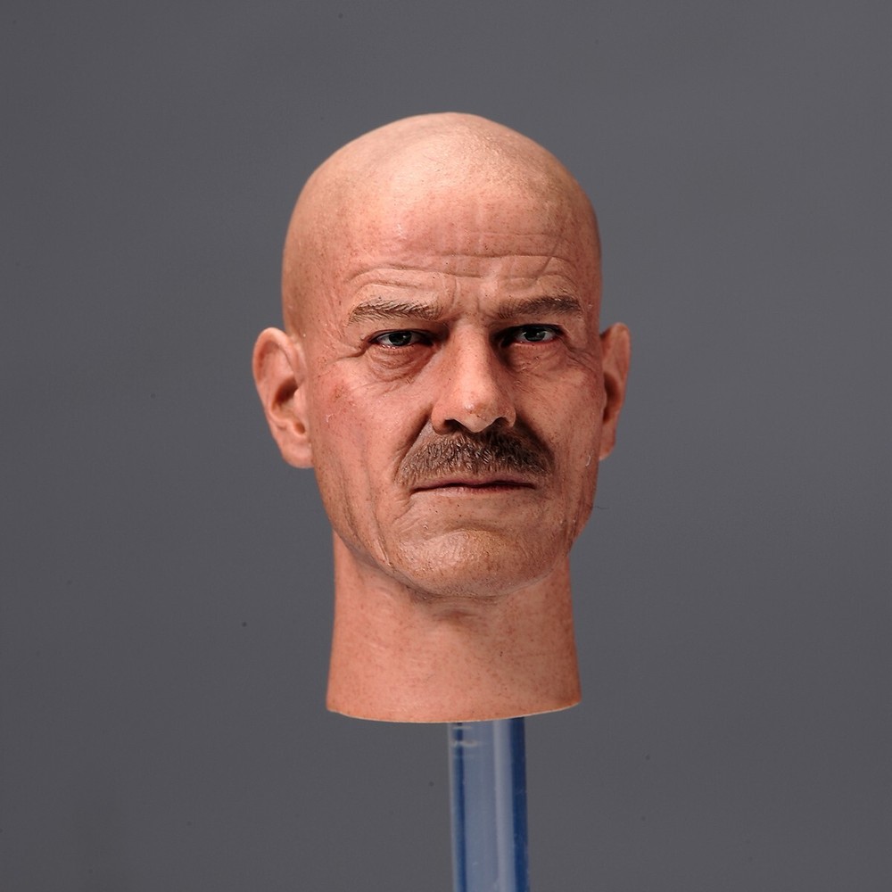 1/6 Scale Walter White Bryan Cranston Head Sculpt Model Toys