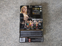 JAKKS Pacific WWE / WWF Classic Superstars BARRY WINDHAM