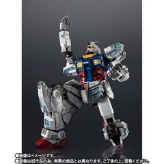 EXPO2025 CHOGOKIN RX-78F00/E Gundam Japan version