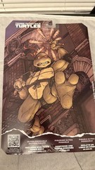 McFarlane Teenage Mutant Ninja Turtles Page Punchers Raph & Mikey Bundle IDW