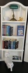 Mini BookShelf For mini Books Mini Brands