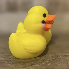 Couples Duck Boyfriend Girlfriend – Jeep Ducking Gift – Cruises – Collectible