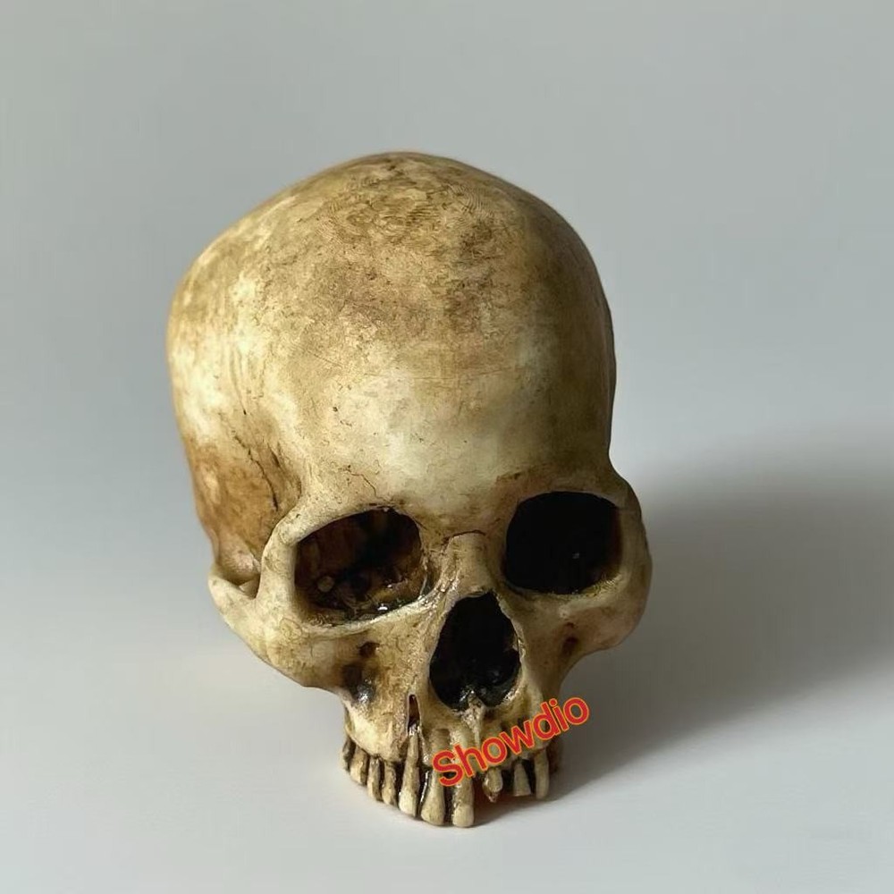 1/6 Scale Human Beings Skeleton Resin Model for 12″ Action Figure Accessory Toys