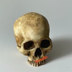 1/6 Scale Human Beings Skeleton Resin Model for 12″ Action Figure Accessory Toys