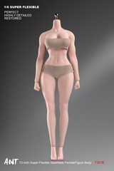 ANT T307 1/6th Female Fitness Model Action Figure Body 12in Muscle Bust Soldier