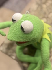Applause Plush Kermit the Frog Poseable Jim Henson Muppets 19” Wire Arms & Legs