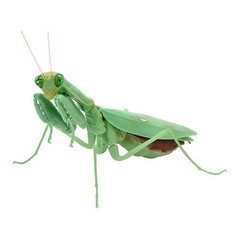 The Diversity of Life on Earth Mantis 03 Set of 6 Complete Bandai Capsule Toy