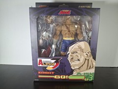 Storm Arena Street Fighter Alpha 3 Sagat Action Figure Complete