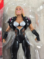 WWE Natalya Divas 2015 Mattel with packaging