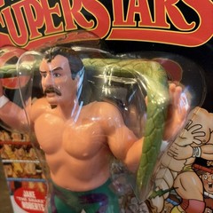 JAKE THE SNAKE ROBERTS LJN WWE WWF Series 3 *Black Card* IN HAND
