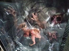THE THING ULTIMATE DOG CREATURE NECA FIGURE BRAND NEW