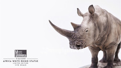 MEMORY MUSEUM 1/15 Africa White Rhinoceros Statue GK Painted Animal Model Decor