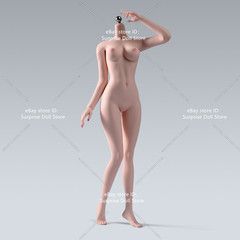 ANT T303 1/6 Female Slender Flexible Seamless Body Details For 12”Action Figure