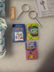 ZURU MINI BRAND BOOKS LOT ROALD DAHL THE TWITS ROALD DAHL MATILDA DIARY OF A WIM