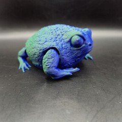 Rain Frog Articulated Figure 3D Printed Collectable Multi Color