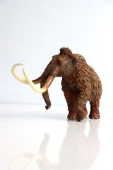 TNG Mammonteus Primigenius Model Elephant Animal Figure Toys Decor Xmas Gift