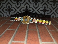 3 Custom WWE Undisputed IC World Danhausen Cursed Belts 6″ (figures not included