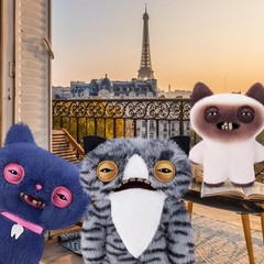 Fuggler 🐱 Alley Cats WIDE-EYED CAT 🐱 NEW 9″ Fast Free Ship! Funny! Ugly! Cute