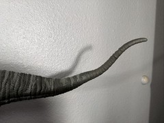 Mattel Jurassic World Legacy Collection Large 41″ Long Apatosaurus Dinosaur