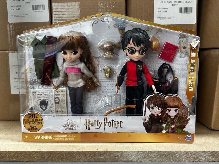 Wizarding World Harry Potter 8 Inch Harry & Hermione Dolls Gift Set DEMEGED BOX