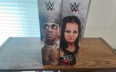 WWE Mattel Elite Series #67 Shayna Baszler Velveteen Dream 1st time in the Line