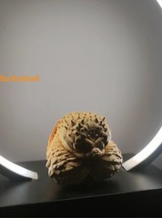 Alligator Snapping Turtle Figure Model Resin Collection Animal 8cm Doll Toys