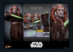 Saesee Tiin Hot Toys 1/6 12″ Figure Star Wars Item 914041 MMS820 In Stock