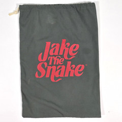 VINTAGE WWF JAKE THE SNAKE ROBERTS DAMIEN SNAKE W/ BAG HASBRO 1991 WWE