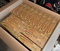 Indiana Jones Worlds Of Adventure w/ Motorcycle And Sidecar Set (29 Available)