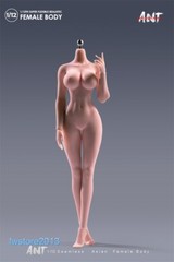 US ANT 1:12 Suntan Large Bust Plump Hip Girl 6″ Female Action Figure Body Toys