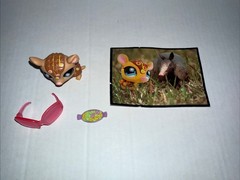 Littlest Pet Shop LPS #1007 – Authentic Postcard Pets – Tattoo Armadillo