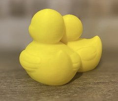 Couples Duck Boyfriend Girlfriend – Jeep Ducking Gift – Cruises – Collectible