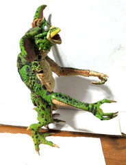 neca gremlins 2 Daffy With Acceries