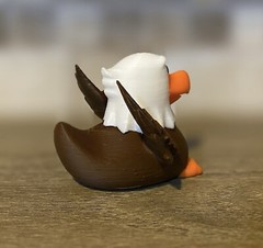 American Eagle Duck