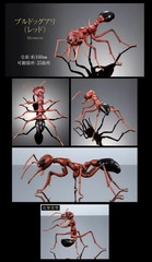 The Diversity of Life on Earth Advance Paper Wasp Bulldog Ant Bandai Capsule Toy