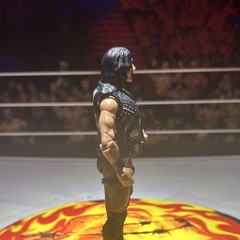 Elite Rhea Ripley, greatest hits Legs a little stiff, no loose joints