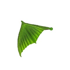 Marvel Legends BAF Hulk Build a Figure Fin Fang Foom Individual Parts