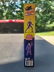 NEW DC Justice League The Joker 12″ Action Figure DWM52
