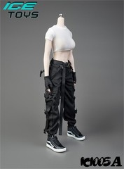 ICE TOYS IC1005 1/6 Vest & Cargo Pants Clothing Model Fit 12in Body Figures