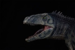 DINO DREAM 1/30 Giganotosaurus Figure Dinosaur Collections Animal Model Toy Gift