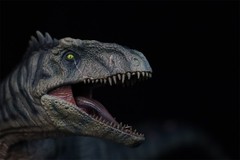 DINO DREAM 1/30 Giganotosaurus Figure Dinosaur Collections Animal Model Toy Gift