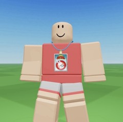 R0BLOX Toy Code – Biannual Passholder | Series 9