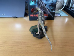 ITOY Dilophosaurus Figure with Base Animal Dinosaur Model Collections Gift Toys