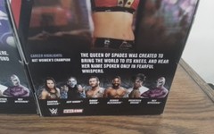 WWE Mattel Elite Series #67 Shayna Baszler Velveteen Dream 1st time in the Line