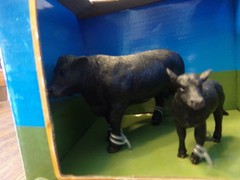 Big Country Toys 1:20 Angus Cow & Calf