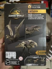 Jurassic World Hammond Collection Mutadon Dinosaur Action Figure New 2026 Mattel