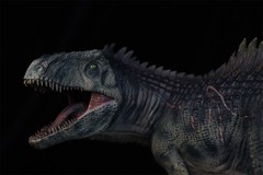 DINO DREAM 1/30 Giganotosaurus Figure Dinosaur Collections Animal Model Toy Gift