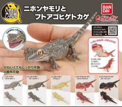 Creature Encyclopedia Japanese Gecko & Bearded Dragon Set of 5 Bandai Gashapon