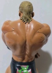 2007 Jakks WWE Unmatched Fury Triple H Platinum Edition Series 2 OOP